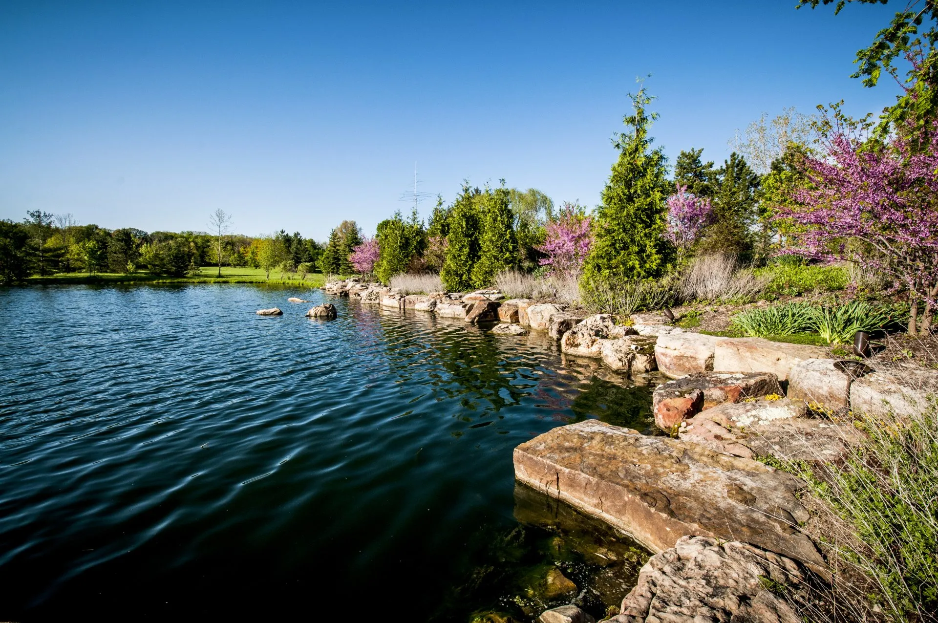 _DSC8068-5fa555fa-1920w