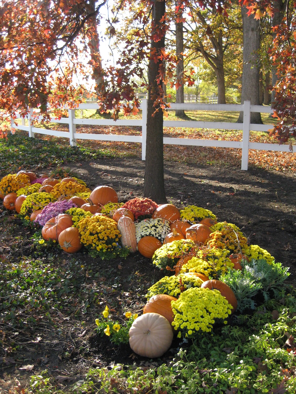 Humphrey 2008 (3) - Copy